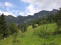 Gasthof Woell Alpbach Exterior photo